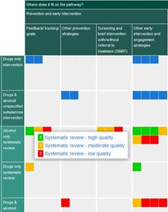 How to design interactive evidence maps: a case study from two maps ...